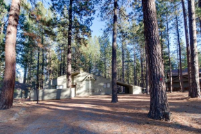 Forest Haven